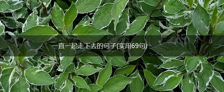 一直一起走下去的句子(实用69句),第1张