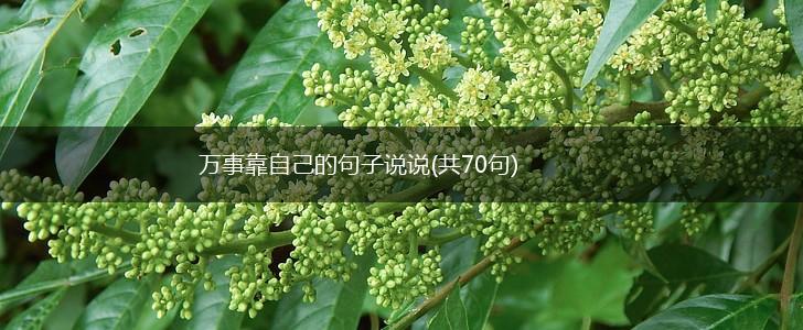 万事靠自己的句子说说(共70句),第1张