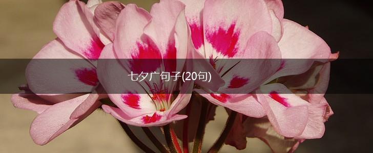 七夕广句子(20句),第1张
