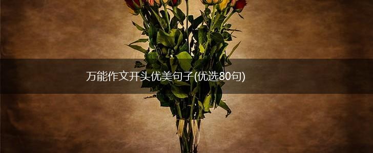 万能作文开头优美句子(优选80句),第1张