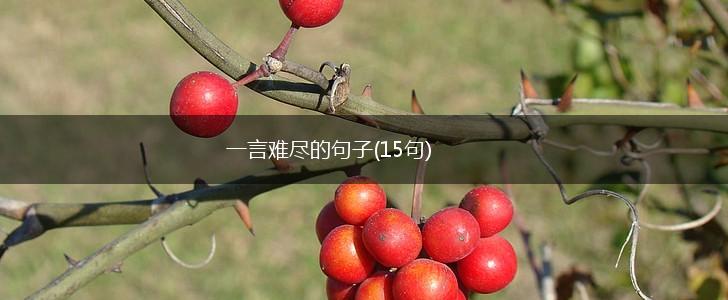 一言难尽的句子(15句),第1张