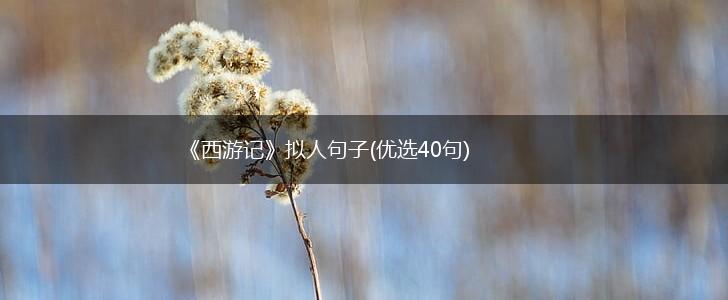 《西游记》拟人句子(优选40句),第1张
