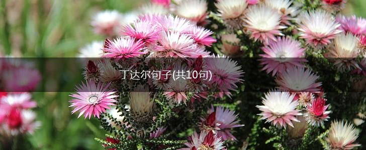 丁达尔句子(共10句),第1张