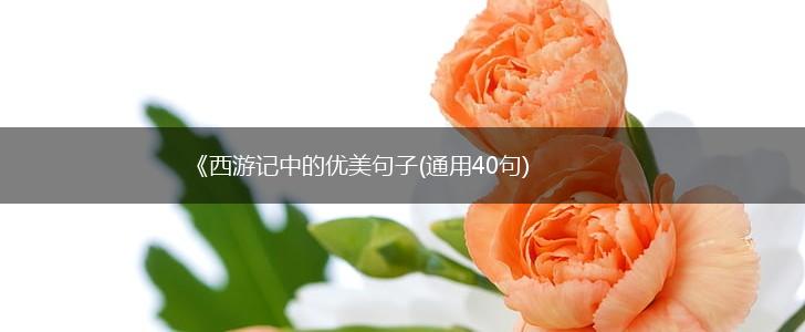 《西游记中的优美句子(通用40句),第1张