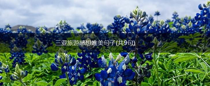 三亚旅游感想唯美句子(共9句),第1张