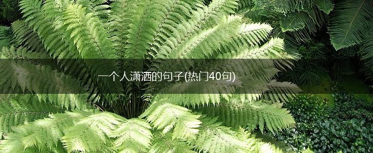 一个人潇洒的句子(热门40句),第1张