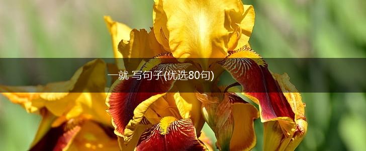 一就 写句子(优选80句),第1张