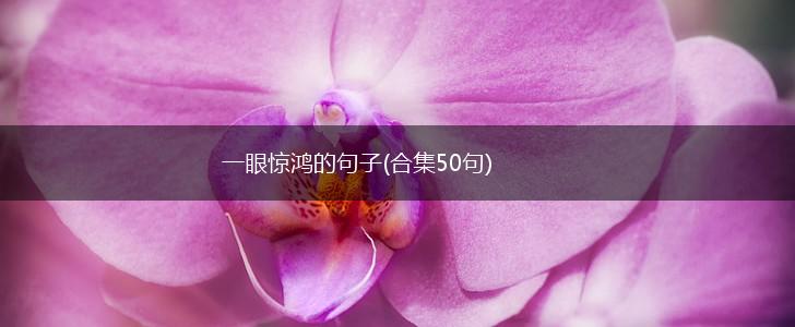 一眼惊鸿的句子(合集50句),第1张