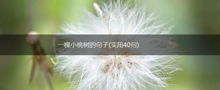 一棵小桃树的句子(实用40句),第1张