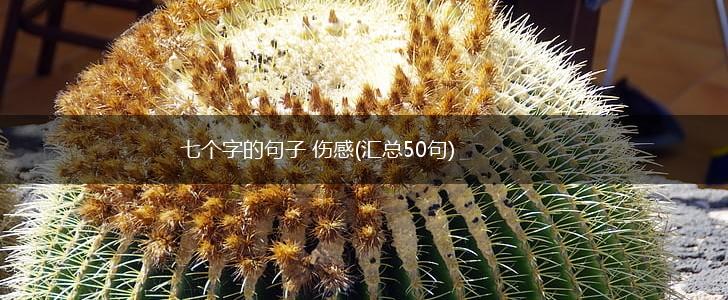 七个字的句子 伤感(汇总50句),第1张