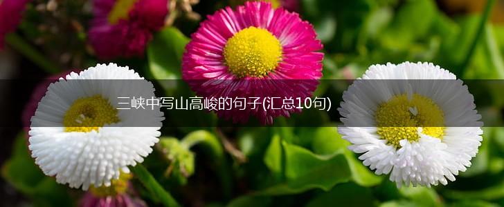 三峡中写山高峻的句子(汇总10句),第1张
