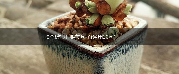 《杀破狼》唯美句子(通用10句),第1张
