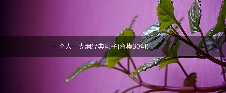 一个人一支烟经典句子(合集30句),第1张
