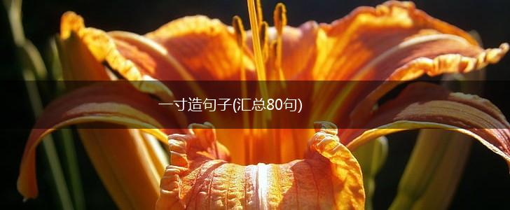 一寸造句子(汇总80句),第1张