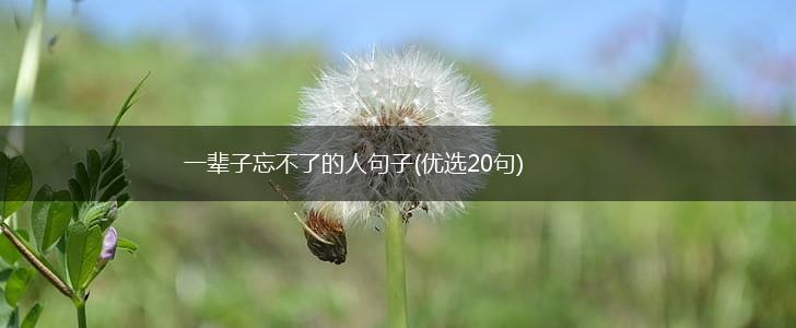一辈子忘不了的人句子(优选20句),第1张