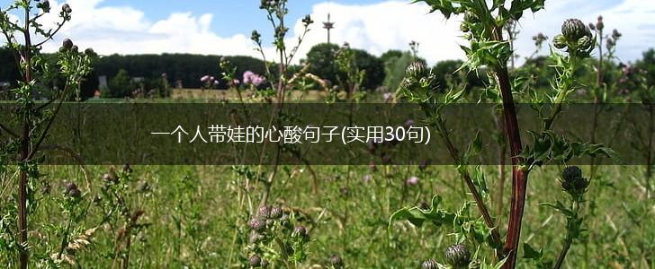 一个人带娃的心酸句子(实用30句),第1张
