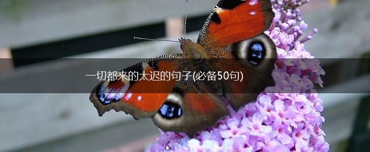 一切都来的太迟的句子(必备50句),第1张