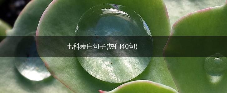 七科表白句子(热门40句),第1张