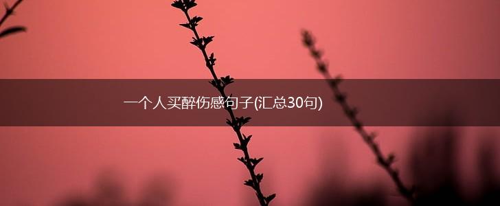 一个人买醉伤感句子(汇总30句),第1张