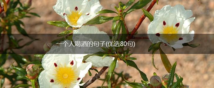 一个人喝酒的句子(优选80句),第1张