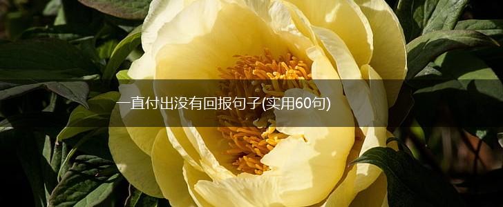 一直付出没有回报句子(实用60句),第1张