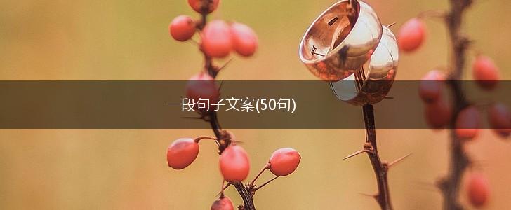 一段句子文案(50句),第1张