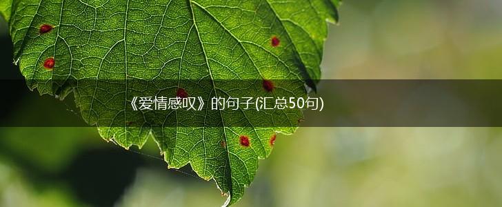 《爱情感叹》的句子(汇总50句),第1张