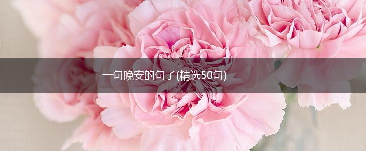 一句晚安的句子(精选50句),第1张