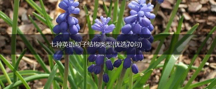 七种英语句子结构类型(优选70句),第1张