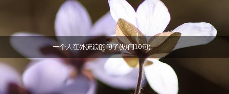 一个人在外流浪的句子(热门10句),第1张