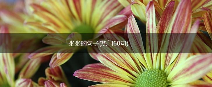 一张张的句子(热门60句),第1张