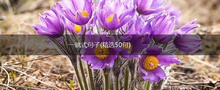 一就式句子(精选50句),第1张