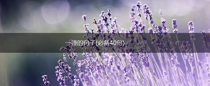一锤的句子(必备40句),第1张