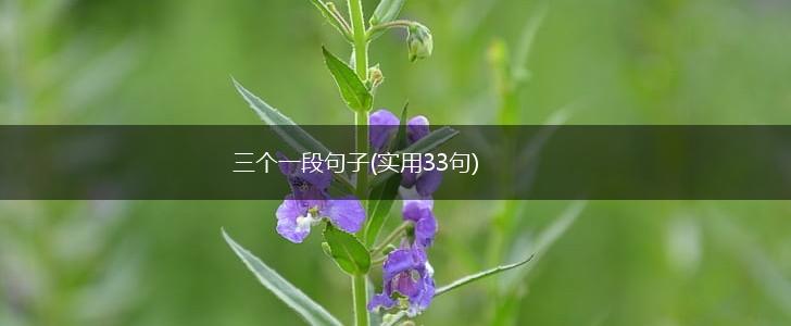 三个一段句子(实用33句),第1张
