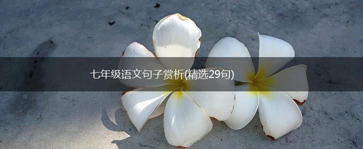 七年级语文句子赏析(精选29句),第1张