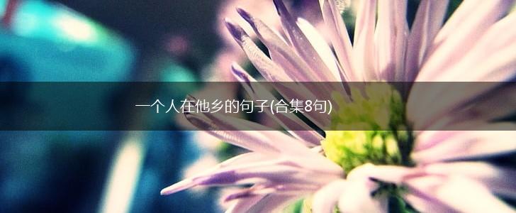 一个人在他乡的句子(合集8句),第1张