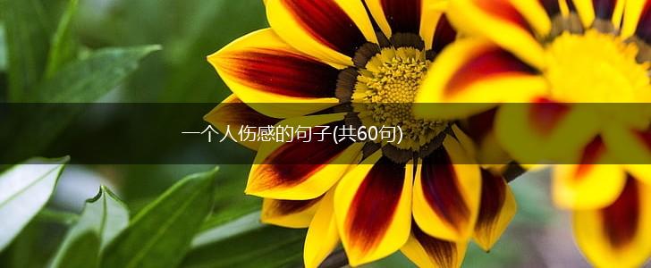 一个人伤感的句子(共60句),第1张