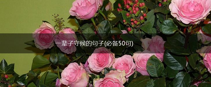 一辈子守候的句子(必备50句),第1张