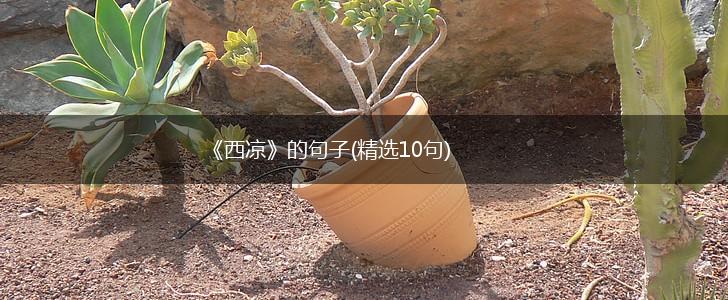 《西凉》的句子(精选10句),第1张