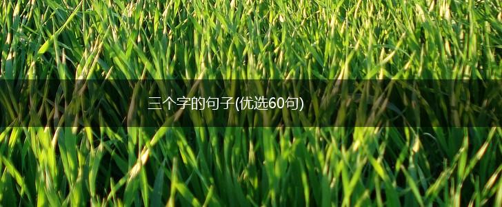 三个字的句子(优选60句),第1张