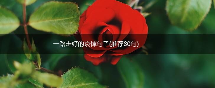 一路走好的哀悼句子(推荐80句),第1张