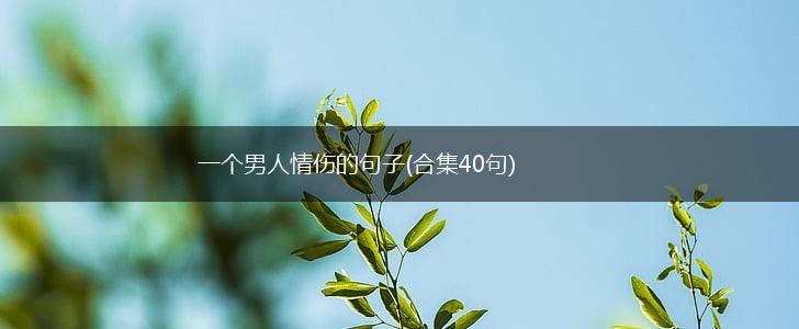 一个男人情伤的句子(合集40句),第1张