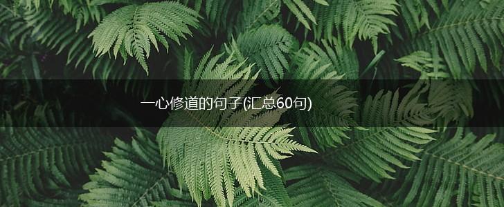 一心修道的句子(汇总60句),第1张