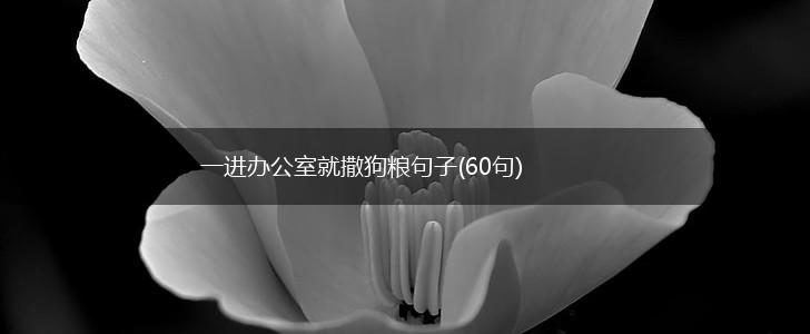 一进办公室就撒狗粮句子(60句),第1张