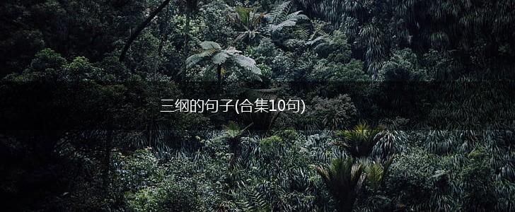 三纲的句子(合集10句),第1张