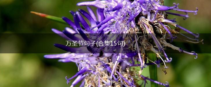 万圣节句子(合集15句),第1张