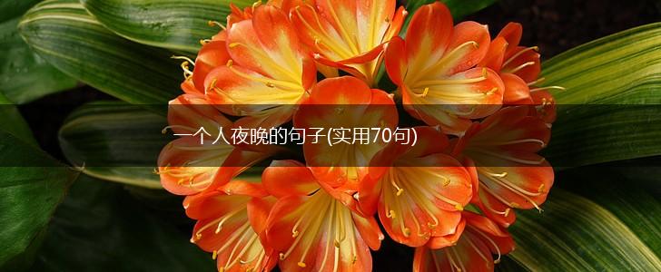 一个人夜晚的句子(实用70句),第1张