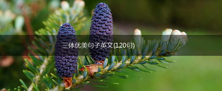 三体优美句子英文(120句),第1张