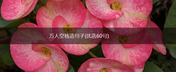 万人空巷造句子(优选60句),第1张