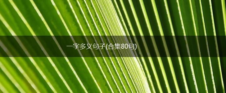 一字多义句子(合集80句),第1张